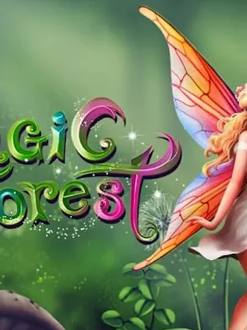 Magic Forest